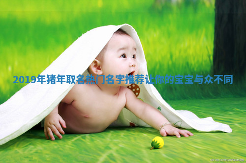 2019年猪年取名热门名字推荐让你的宝宝与众不同