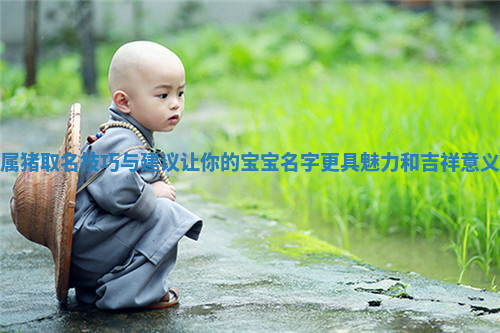 属猪取名技巧与建议让你的宝宝名字更具魅力和吉祥意义