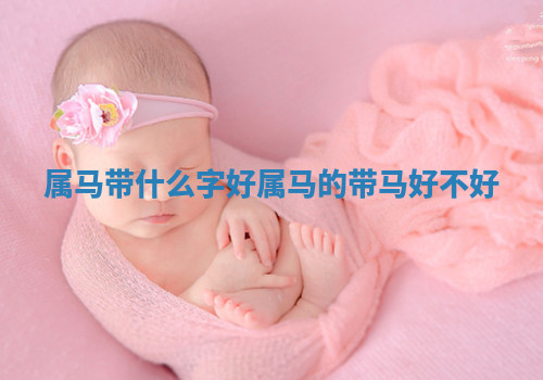 属马带什么字好_属马的带马好不好