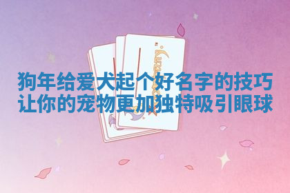 狗年给爱犬起个好名字的技巧让你的宠物更加独特吸引眼球