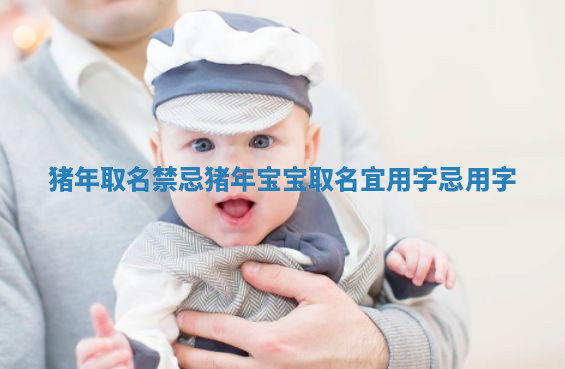 猪年取名禁忌_猪年宝宝取名宜用字忌用字