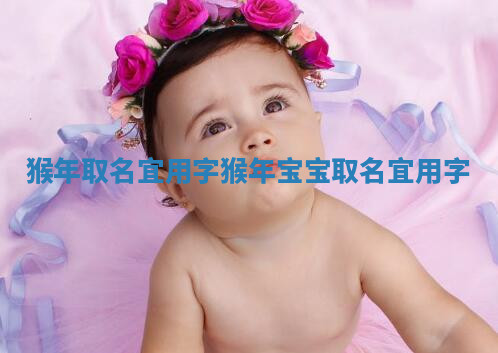 猴年取名宜用字 猴年宝宝取名宜用字