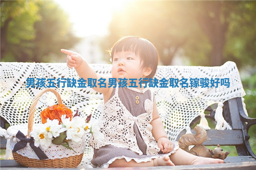 男孩五行缺金取名_男孩五行缺金取名镓骏好吗
